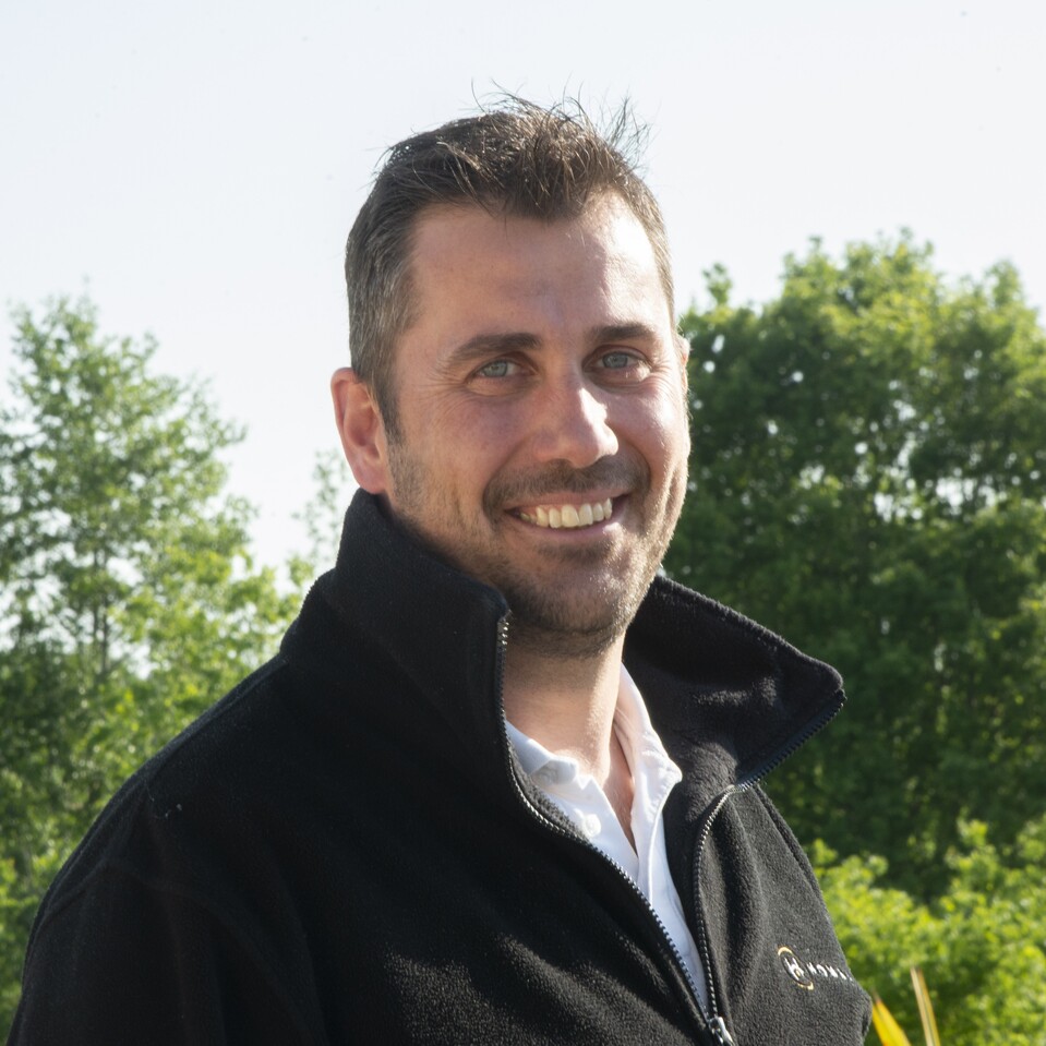 Romain Sellier, Homanova
